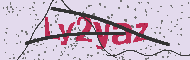 Captcha認証コード