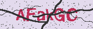 Captcha認証コード